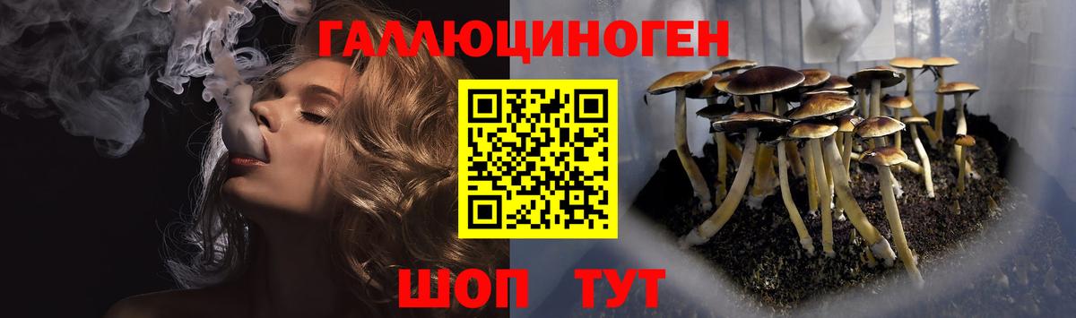 цены   Галлюциногенные грибы Psilocybe  Вход с VPN  Новокуйбышевск 